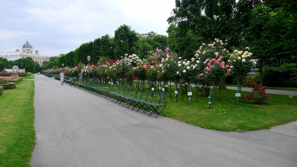parterre de roses dans le burggarten